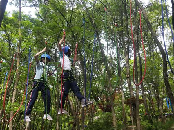 丛林穿越
